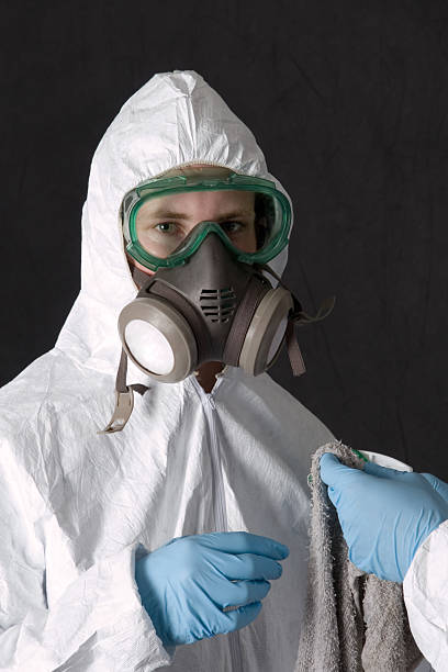 Best Mold Odor Removal Services  in USA